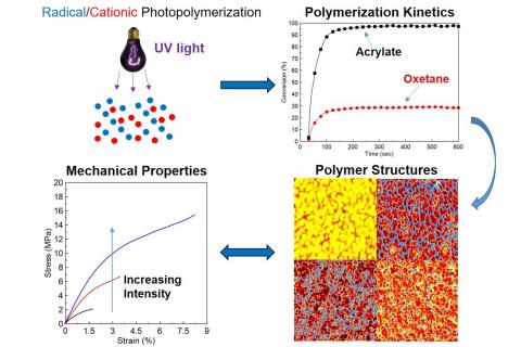 Diagram depicting hybrid photopolymerization process used in PhIPS (top) Diagram depicting hybrid photopolymerization process used in PhIPS and its effects on morphology and mechanical properties