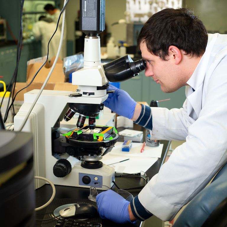 A student looks through a microscope